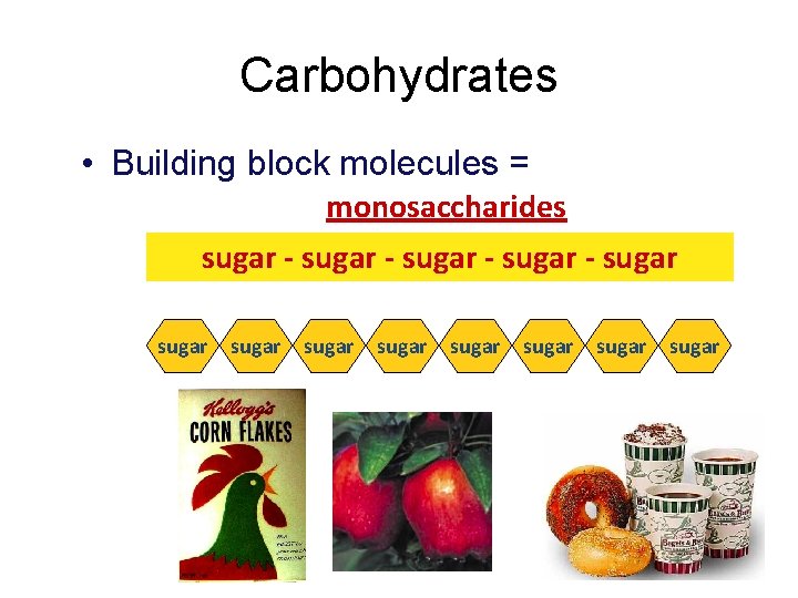 Carbohydrates • Building block molecules = monosaccharides sugar - sugar sugar sugar 