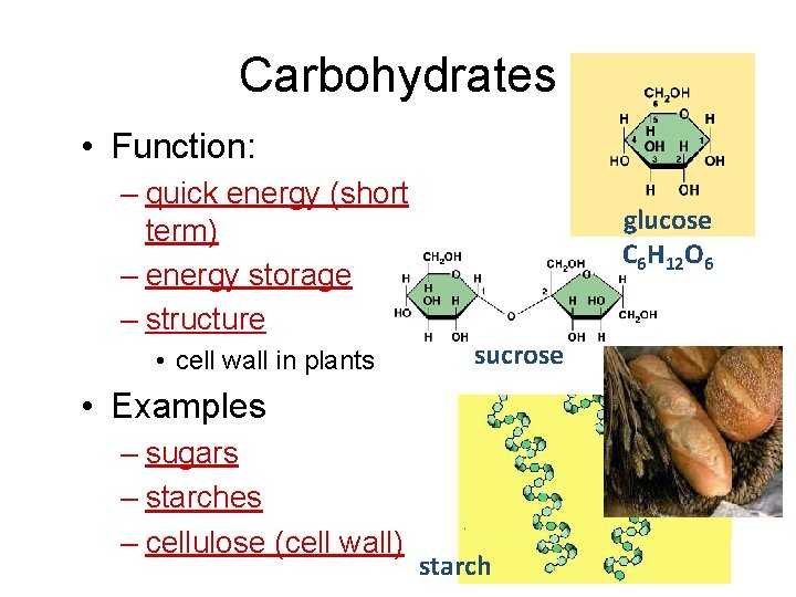 Carbohydrates • Function: – quick energy (short term) – energy storage – structure •