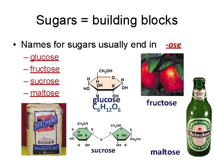 Sugars = building blocks • Names for sugars usually end in -ose – glucose
