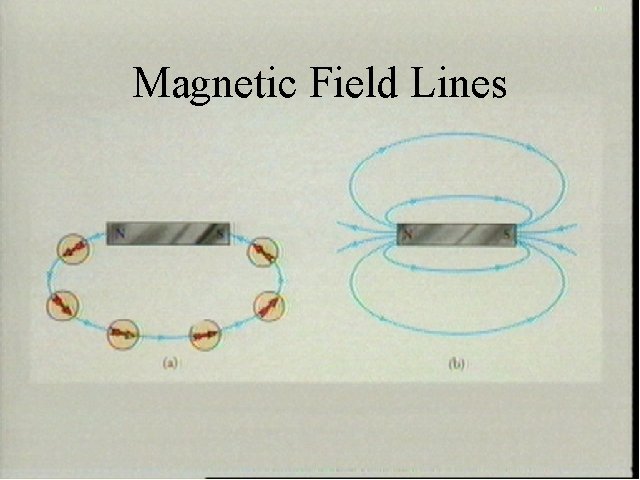 Magnetic Field Lines 