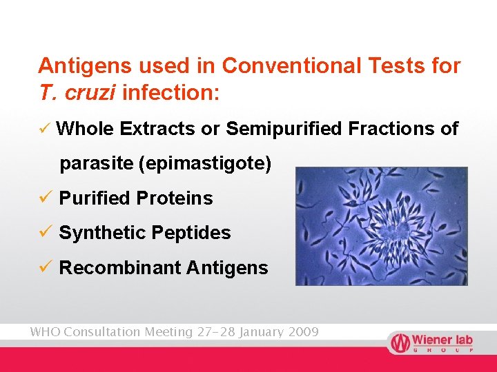 Antigens used in Conventional Tests for T. cruzi infection: ü Whole Extracts or Semipurified