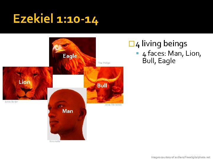 Ezekiel 1: 10 -14 � 4 living beings 4 faces: Man, Lion, Eagle Tina
