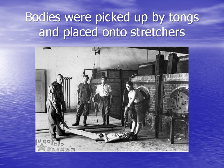 Bodies were picked up by tongs and placed onto stretchers 