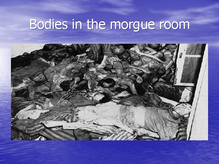 Bodies in the morgue room 