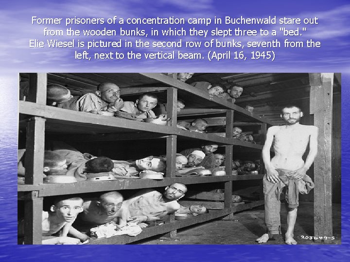 Former prisoners of a concentration camp in Buchenwald stare out from the wooden bunks,