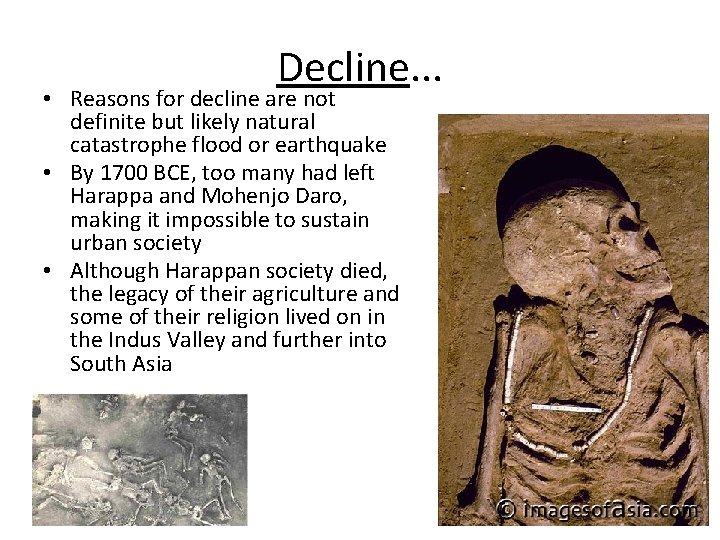 Decline. . . • Reasons for decline are not definite but likely natural catastrophe
