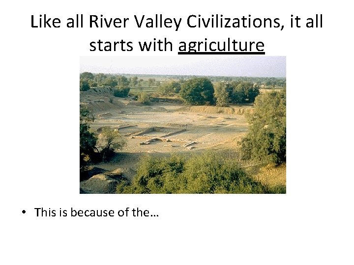 Like all River Valley Civilizations, it all starts with agriculture • This is because