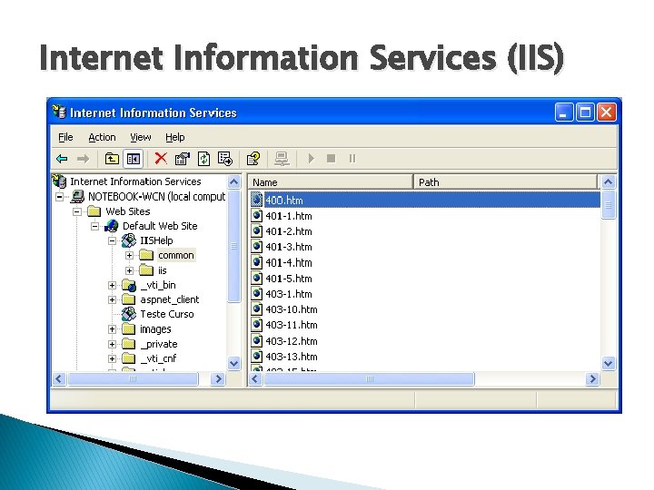 Internet Information Services (IIS) 