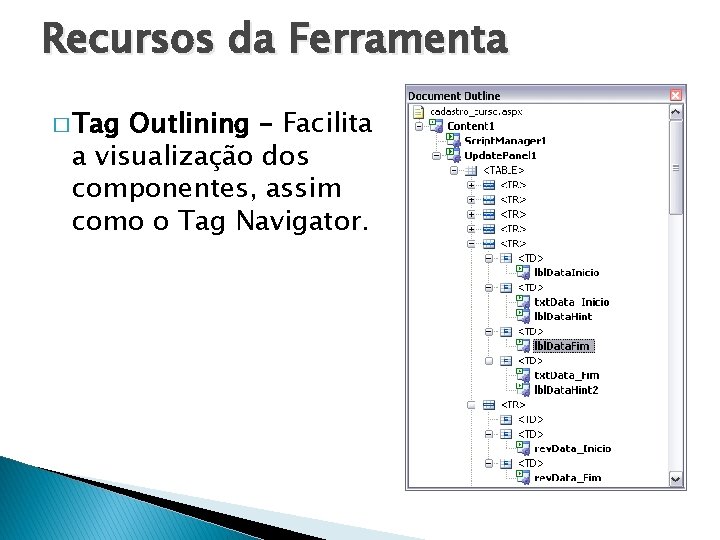 Recursos da Ferramenta � Tag Outlining – Facilita a visualização dos componentes, assim como