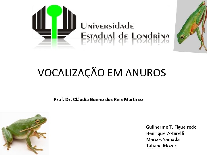 VOCALIZAÇÃO EM ANUROS Prof. Dr. Cláudia Bueno dos Reis Martinez Guilherme T. Figueiredo Henrique