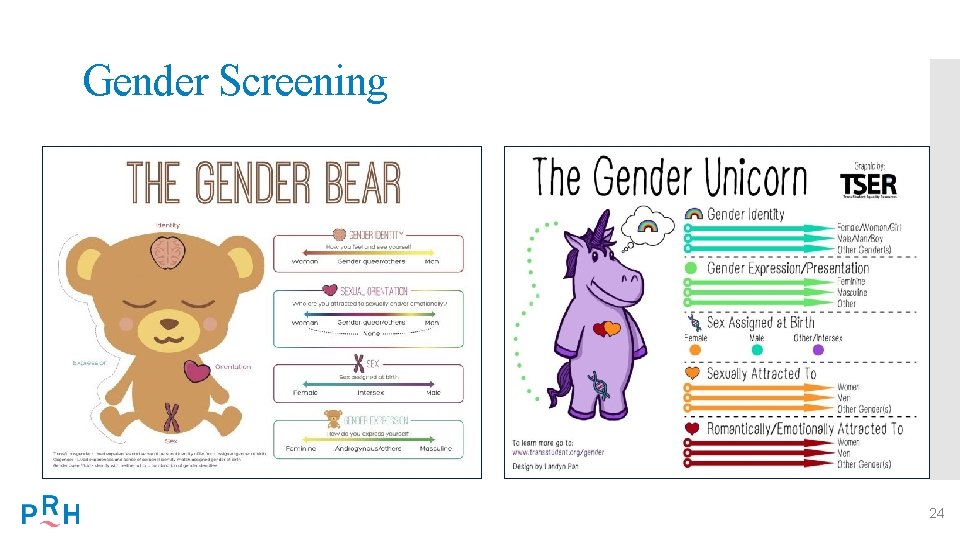 Gender Screening 24 