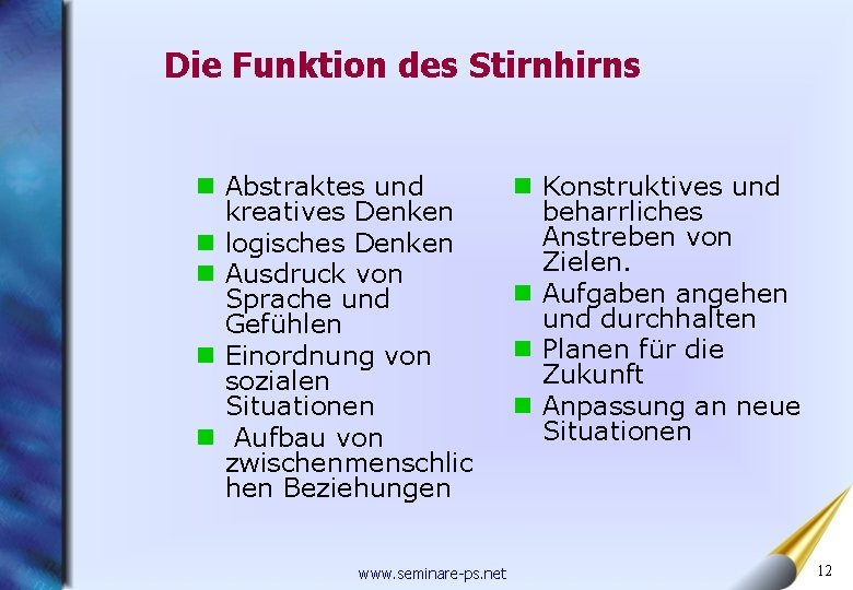 Die Funktion des Stirnhirns n Abstraktes und kreatives Denken n logisches Denken n Ausdruck