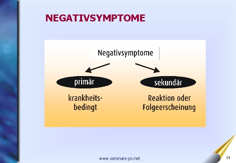 NEGATIVSYMPTOME www. seminare-ps. net 14 