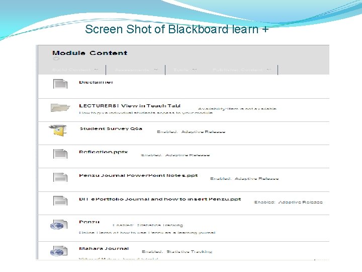 Screen Shot of Blackboard learn + 