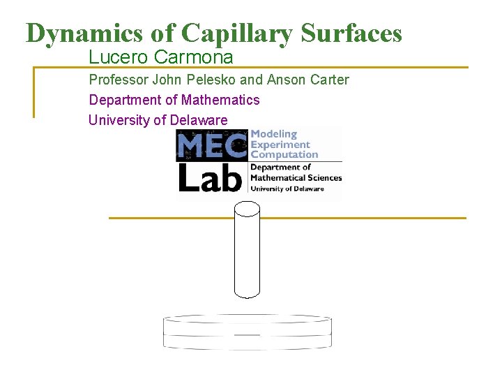 Dynamics of Capillary Surfaces Lucero Carmona Professor John Pelesko and Anson Carter Department of