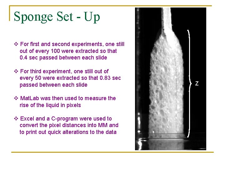 Sponge Set - Up v For first and second experiments, one still out of