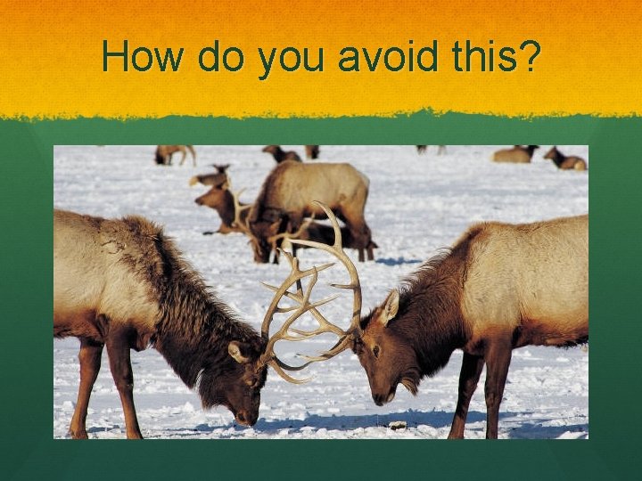 How do you avoid this? 