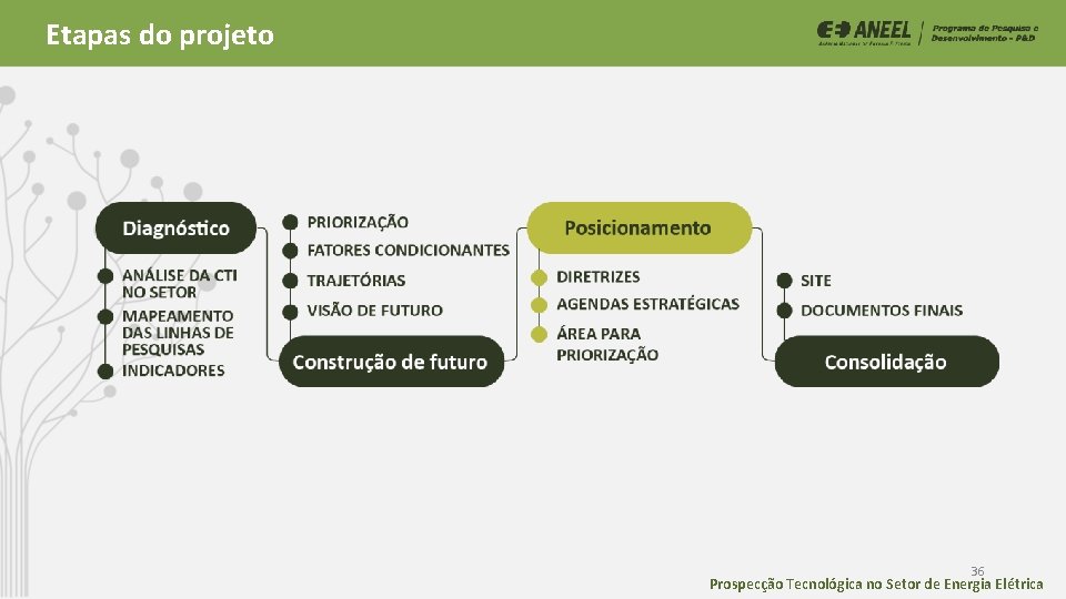 Etapas do projeto 36 Prospecção Tecnológica no Setor de Energia Elétrica Etapas do projeto 36 Prospecção Tecnológica no Setor de Energia Elétrica