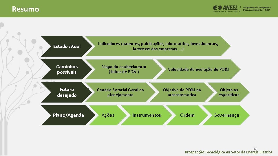 Resumo Estado Atual Caminhos possíveis Futuro desejado Plano/Agenda Indicadores (patentes, publicações, laboratórios, investimentos, interesse Resumo Estado Atual Caminhos possíveis Futuro desejado Plano/Agenda Indicadores (patentes, publicações, laboratórios, investimentos, interesse