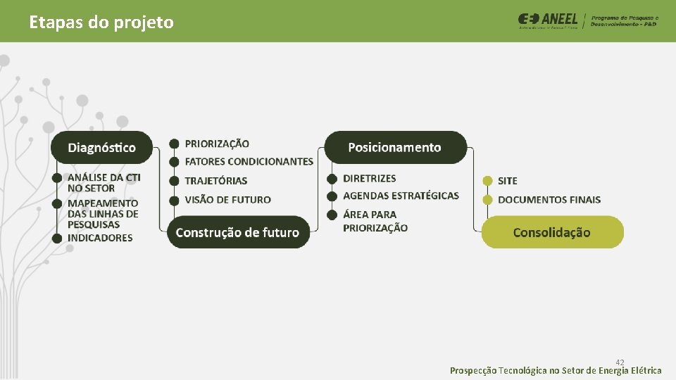 Etapas do projeto 42 Prospecção Tecnológica no Setor de Energia Elétrica Etapas do projeto 42 Prospecção Tecnológica no Setor de Energia Elétrica