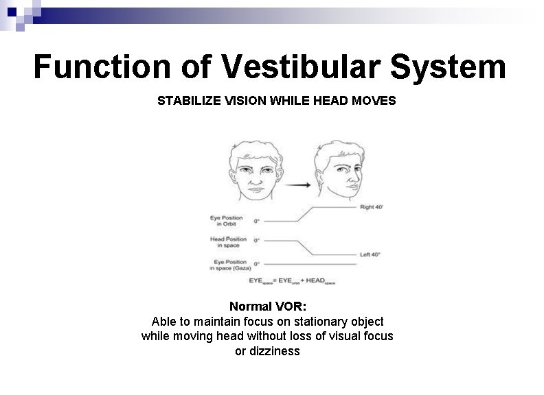 Function of Vestibular System STABILIZE VISION WHILE HEAD MOVES Normal VOR: Able to maintain
