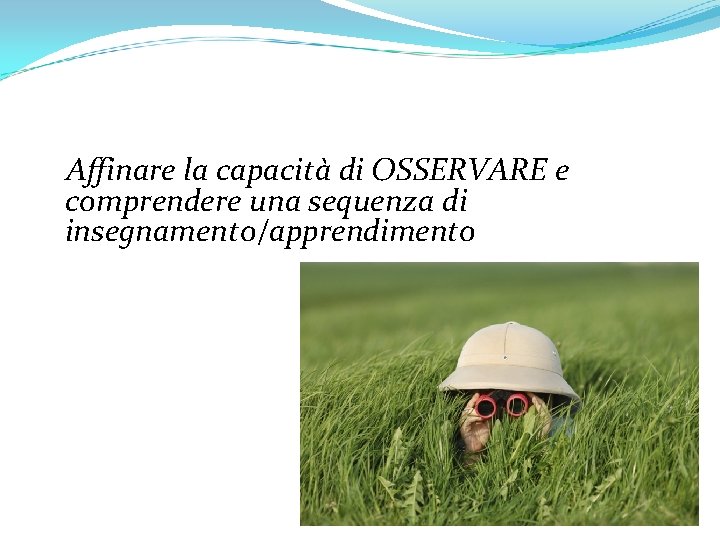 Affinare la capacità di OSSERVARE e comprendere una sequenza di insegnamento/apprendimento 