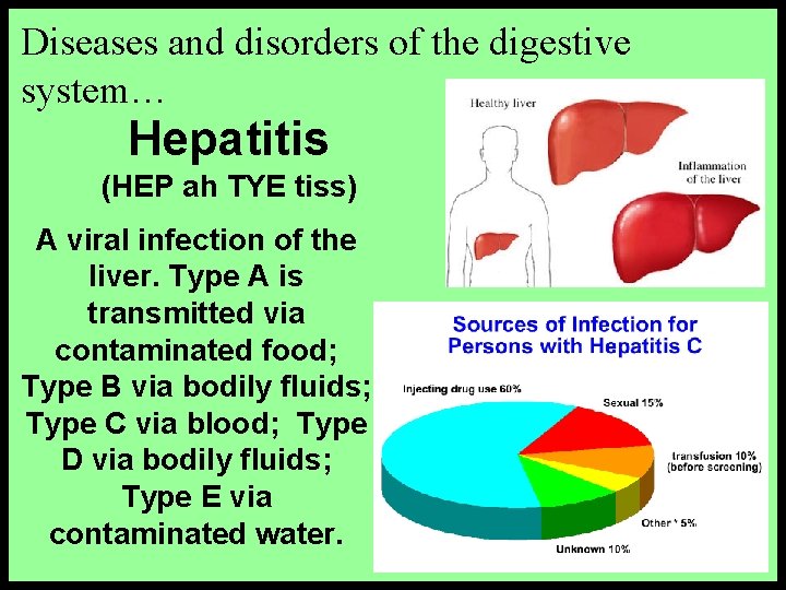 Diseases and disorders of the digestive system… Hepatitis (HEP ah TYE tiss) A viral