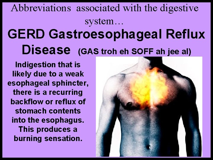 Abbreviations associated with the digestive system… GERD Gastroesophageal Reflux Disease (GAS troh eh SOFF