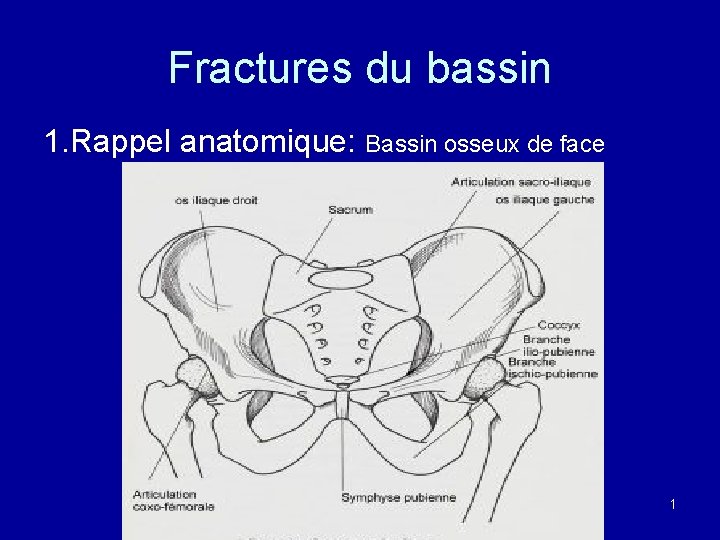 Fractures du bassin 1. Rappel anatomique: Bassin osseux de face 1 