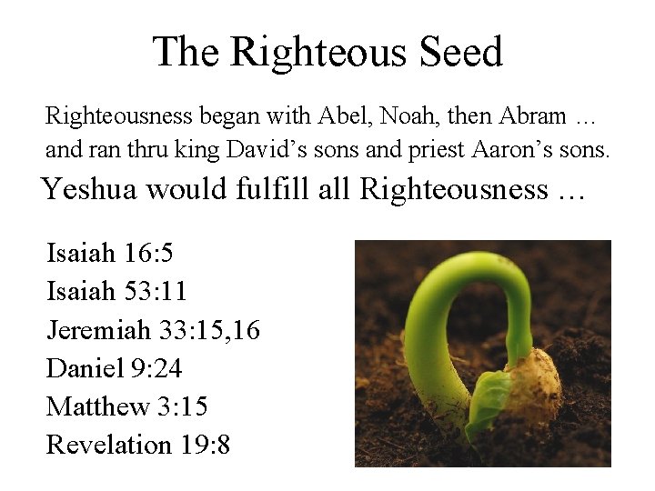 The Righteous Seed Righteousness began with Abel, Noah, then Abram … and ran thru