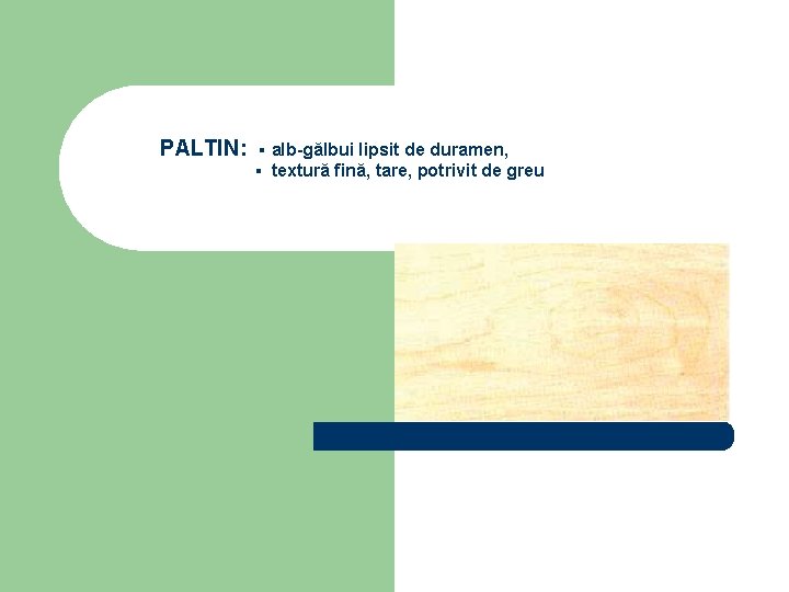 PALTIN: ▪ alb-gălbui lipsit de duramen, ▪ textură fină, tare, potrivit de greu 