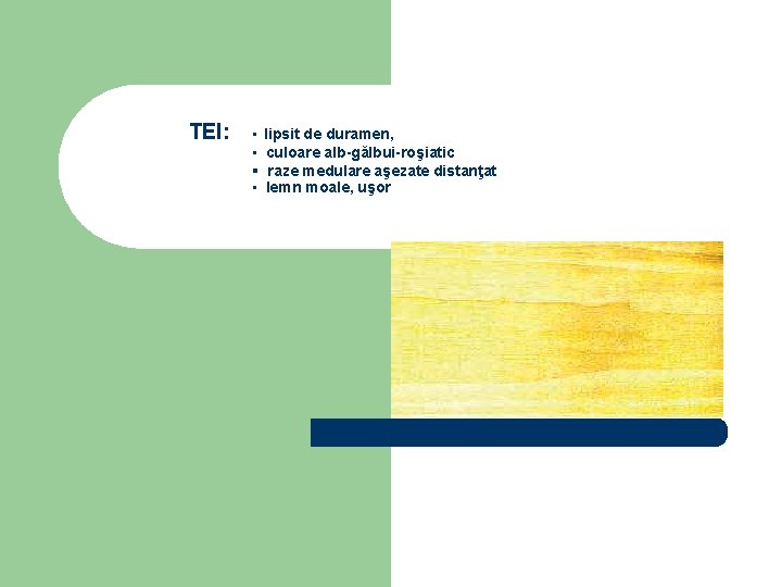TEI: ▪ lipsit de duramen, ▪ culoare alb-gălbui-roşiatic ▪ raze medulare aşezate distanţat ▪