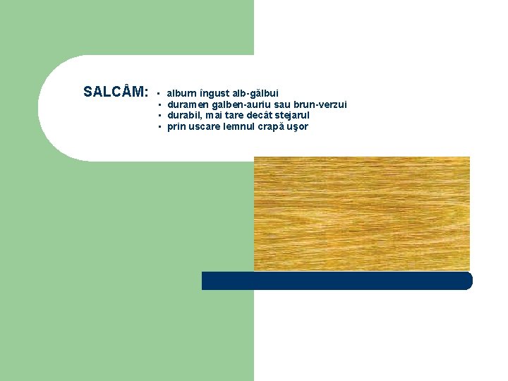 SALC M: ▪ ▪ alburn îngust alb-gălbui duramen galben-auriu sau brun-verzui durabil, mai tare