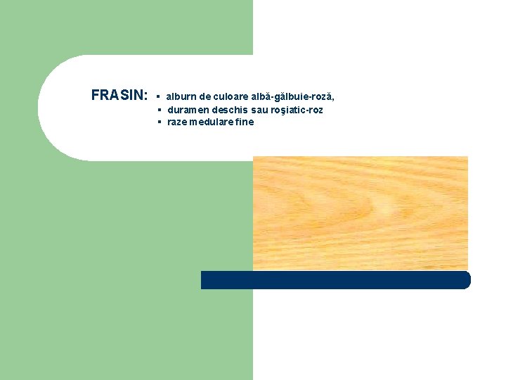 FRASIN: ▪ alburn de culoare albă-gălbuie-roză, ▪ duramen deschis sau roşiatic-roz ▪ raze medulare