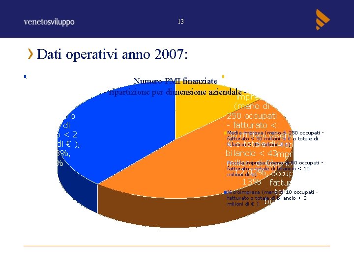 13 Dati operativi anno 2007: Series 1, Microimpresa (meno di 10 occupati fatturato o