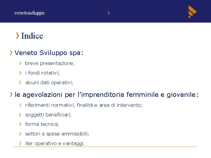 2 Indice Veneto Sviluppo spa: breve presentazione; i fondi rotativi; alcuni dati operativi; le