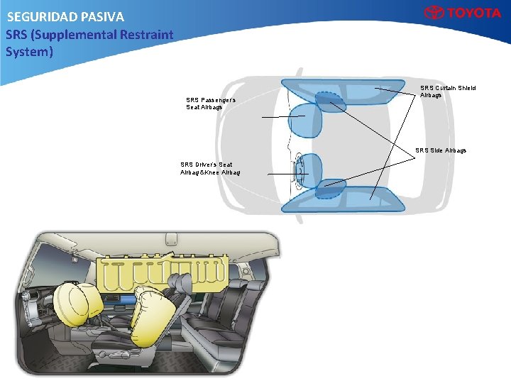 SEGURIDAD PASIVA SRS (Supplemental Restraint System) SRS Passenger’s Seat Airbags SRS Curtain Shield Airbags