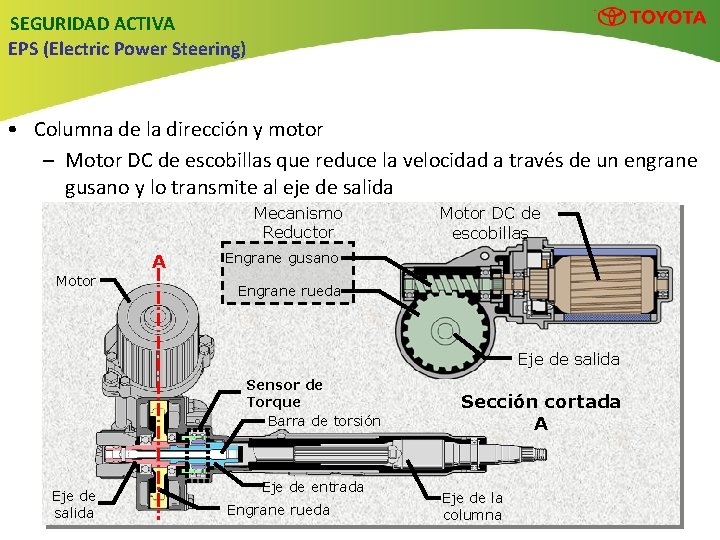 SEGURIDAD ACTIVA EPS (Electric Power Steering) • Columna de la dirección y motor –