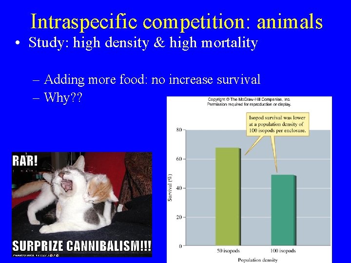 Intraspecific competition: animals • Study: high density & high mortality – Adding more food: