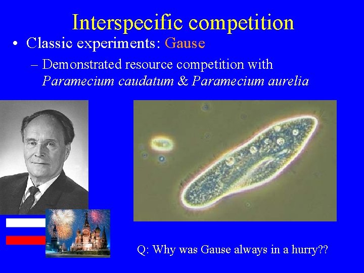 Interspecific competition • Classic experiments: Gause – Demonstrated resource competition with Paramecium caudatum &