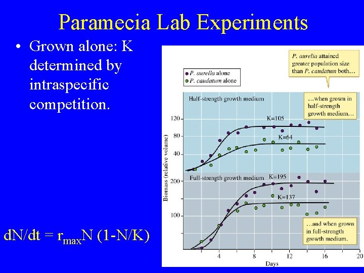 Paramecia Lab Experiments • Grown alone: K determined by intraspecific competition. d. N/dt =
