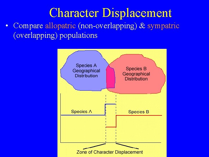 Character Displacement • Compare allopatric (non-overlapping) & sympatric (overlapping) populations 