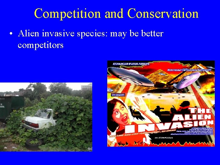 Competition and Conservation • Alien invasive species: may be better competitors 