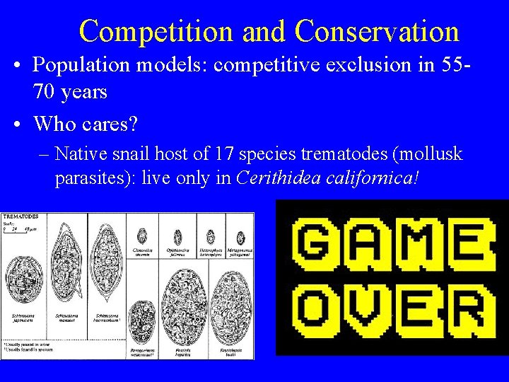 Competition and Conservation • Population models: competitive exclusion in 5570 years • Who cares?