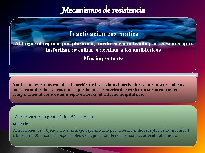 Mecanismos de resistencia Inactivación enzimática Al llegar al espacio periplásmico, puede ser inactivado por