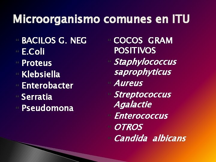 Microorganismo comunes en ITU BACILOS G. NEG E. Coli Proteus Klebsiella Enterobacter Serratia Pseudomona