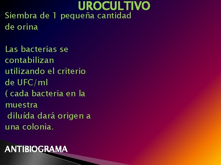 UROCULTIVO Siembra de 1 pequeña cantidad de orina Las bacterias se contabilizan utilizando el