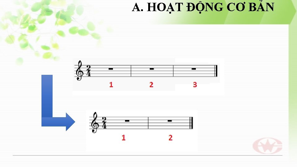 A. HOẠT ĐỘNG CƠ BẢN 