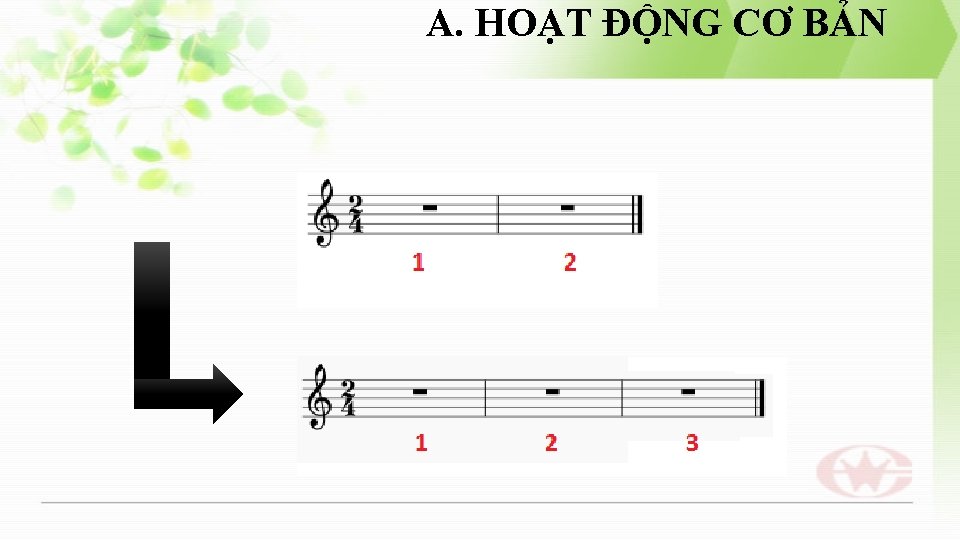 A. HOẠT ĐỘNG CƠ BẢN 