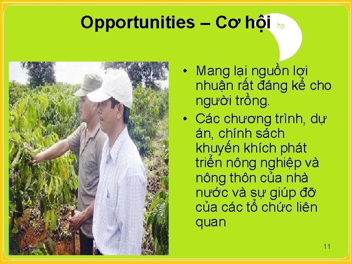 Opportunities – Cơ hội • Mang lại nguồn lợi nhuận rất đáng kể cho